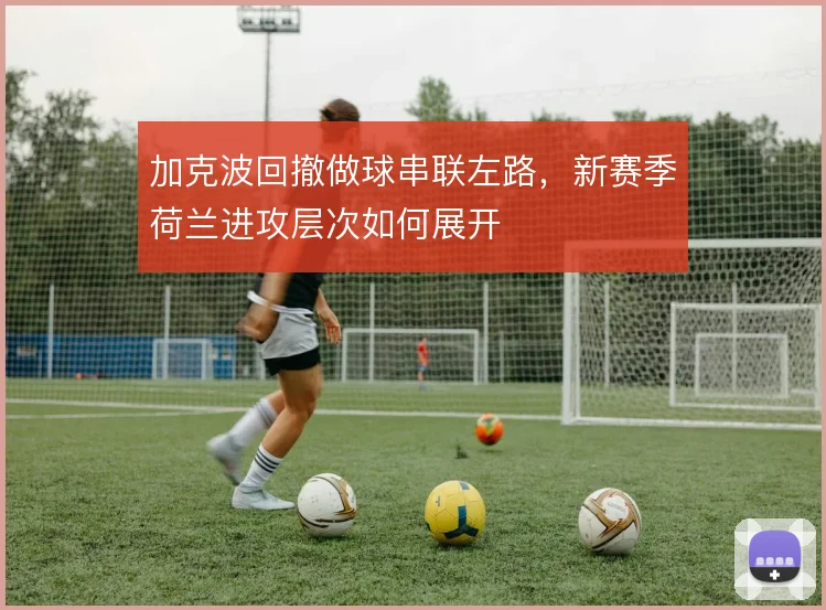 加克波回撤做球串联左路,新赛季荷兰进攻层次如何展开
