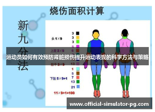 运动员如何有效预防肾脏损伤提升运动表现的科学方法与策略