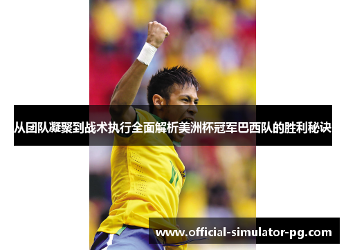 从团队凝聚到战术执行全面解析美洲杯冠军巴西队的胜利秘诀