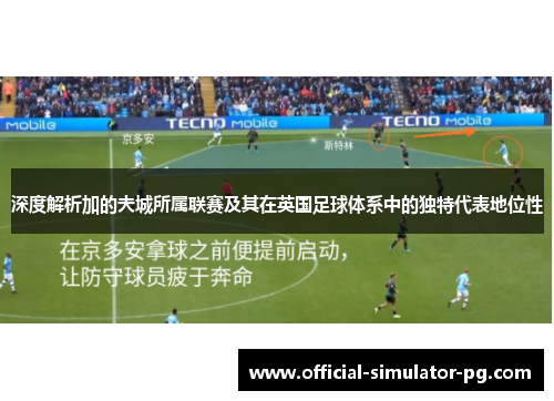 深度解析加的夫城所属联赛及其在英国足球体系中的独特代表地位性