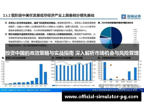 投资中国的高效策略与实战指南 深入解析市场机会与风险管理 投资中国的高效策略与实战指南 深入解析市场机会与风险管理