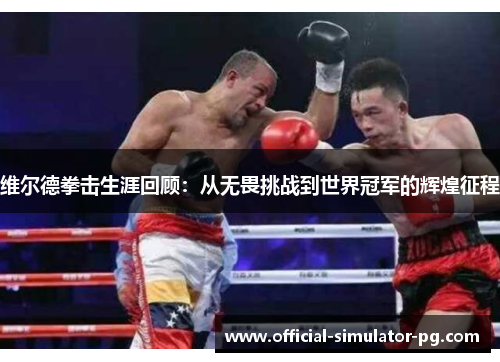 维尔德拳击生涯回顾：从无畏挑战到世界冠军的辉煌征程