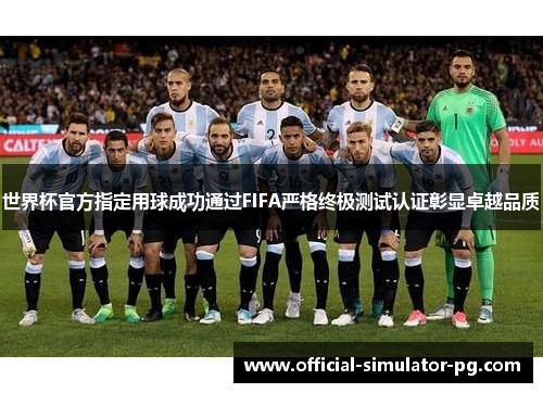 世界杯官方指定用球成功通过FIFA严格终极测试认证彰显卓越品质